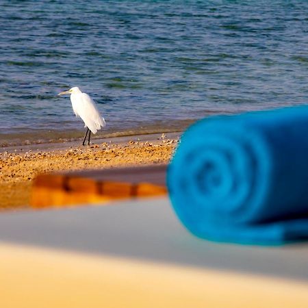 Zen Resort Sahl Hasheesh By Tbh Hotels Хургада Экстерьер фото